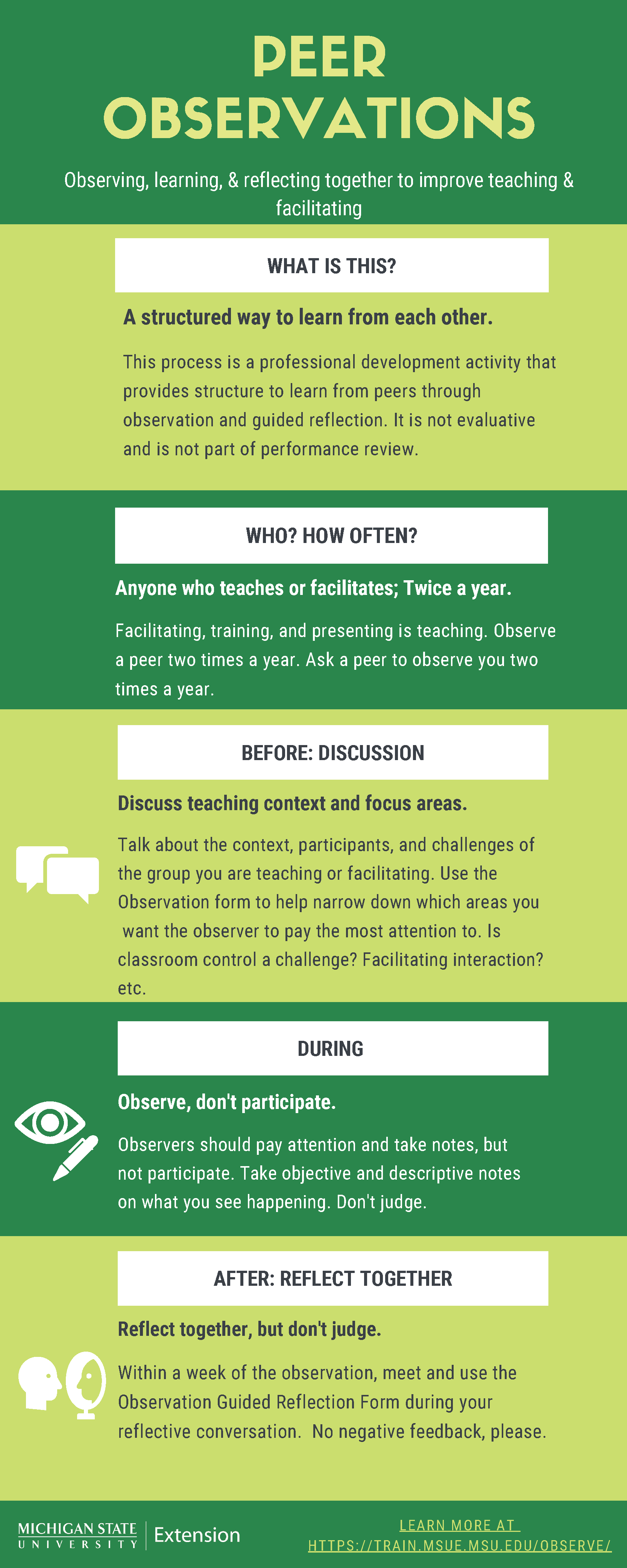 Peer Observation Infographic